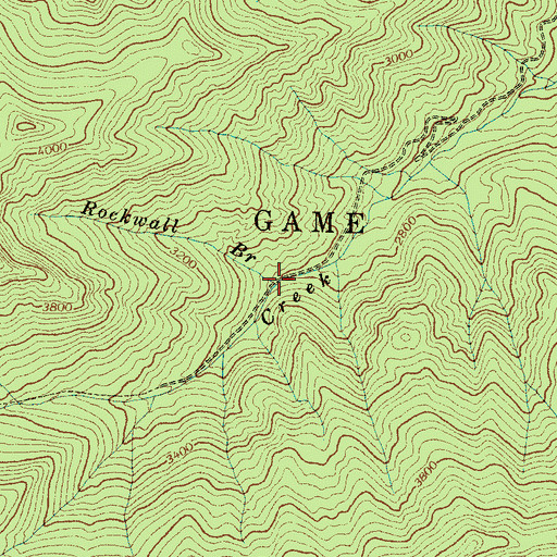 Topographic Map of Rockwall Branch, NC