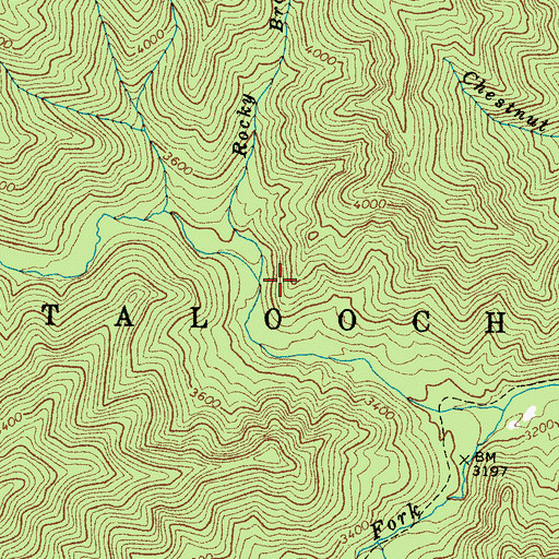 Topographic Map of Rocky Branch, NC