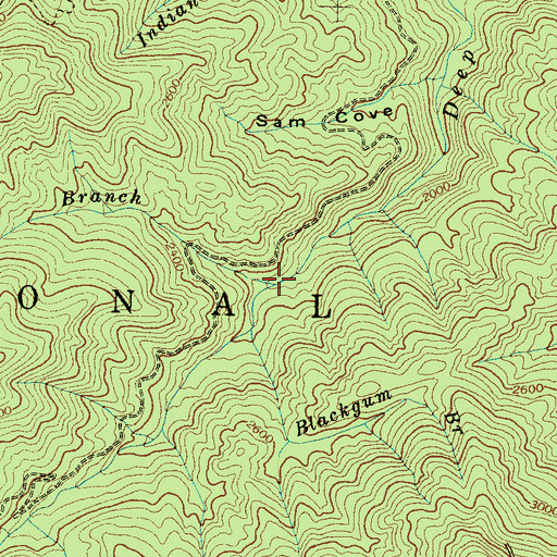 Topographic Map of Rough Branch, NC