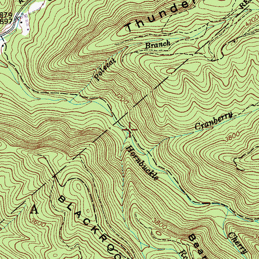 Topographic Map of Rough Branch, NC