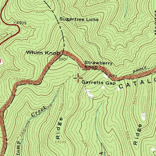 Topographic Map of Rough Ridge, NC