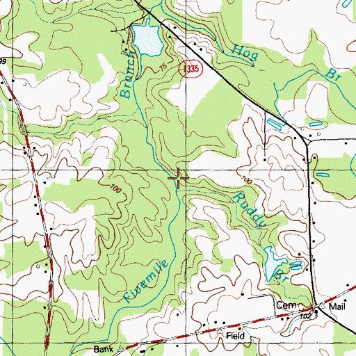 Topographic Map of Ruddy Branch, NC
