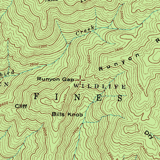 Topographic Map of Runyon Gap, NC
