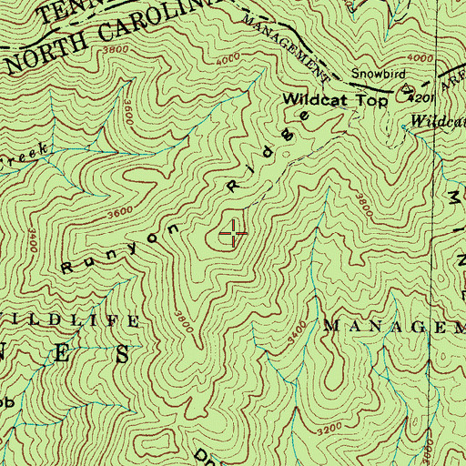 Topographic Map of Runyon Ridge, NC