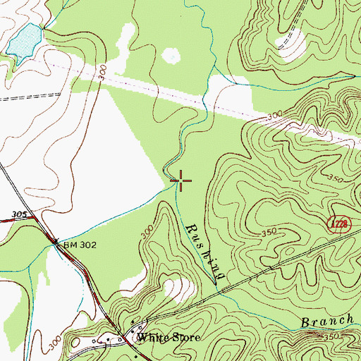 Topographic Map of Rushing Branch, NC