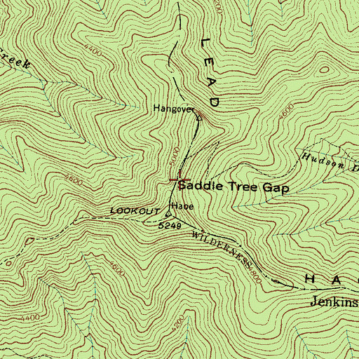 Topographic Map of Saddle Tree Gap, NC