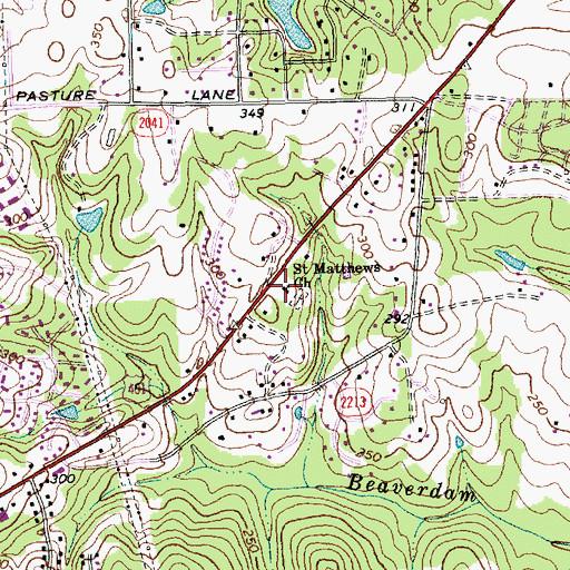 Topographic Map of Saint Matthews Church, NC