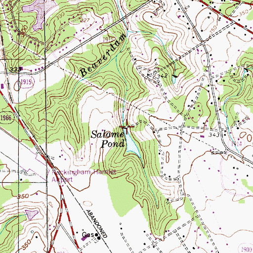 Topographic Map of Salome Pond, NC
