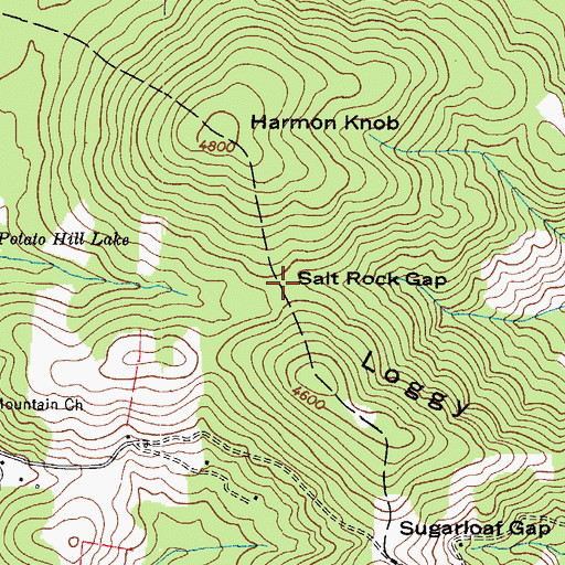 Topographic Map of Salt Rock Gap, NC
