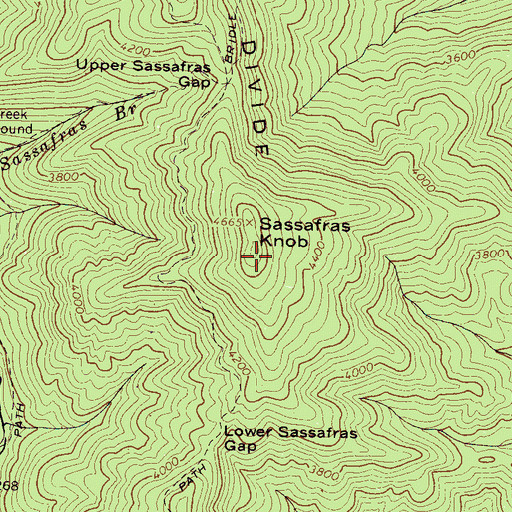 Topographic Map of Sassafras Knob, NC