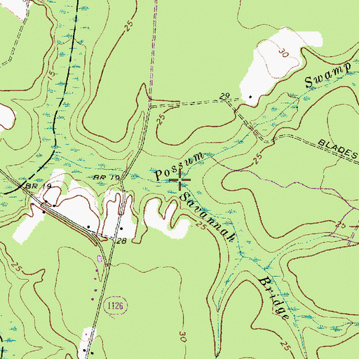 Topographic Map of Savannah Bridge Swamp, NC