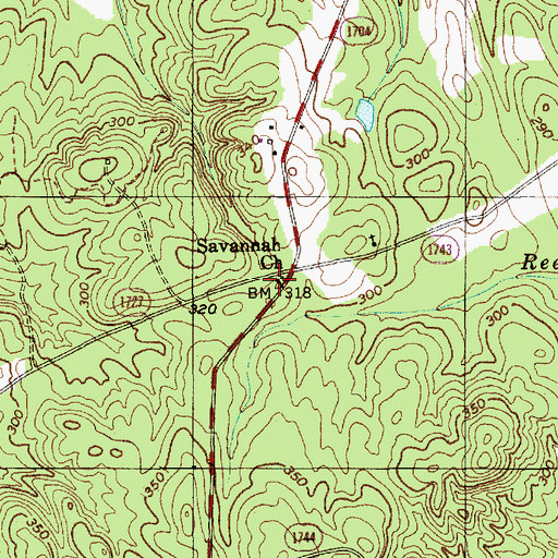Topographic Map of Savannah Church, NC
