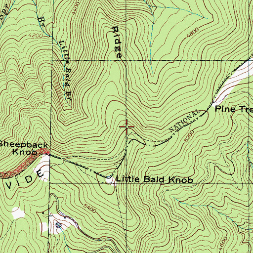Topographic Map of Service Ridge, NC