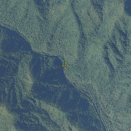 Aerial/Satellite Image of Shell Bark Branch, NC