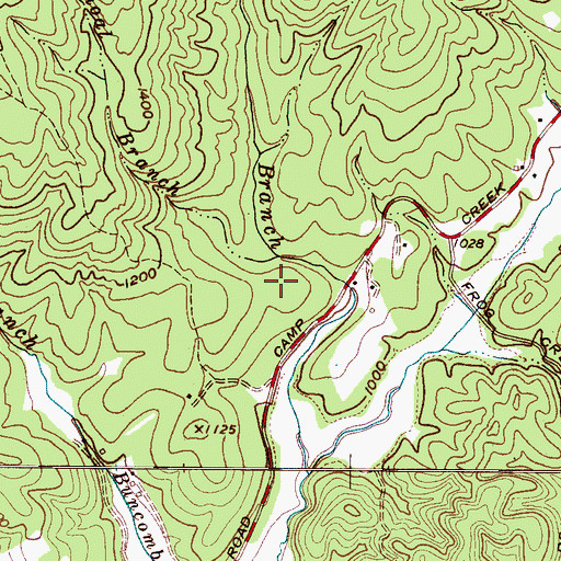 Topographic Map of Shoal Branch, NC