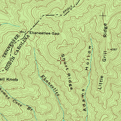 Topographic Map of Short Ridge, NC