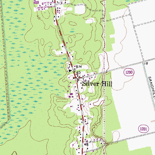 Topographic Map of Silver Hill, NC