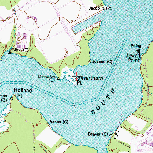Topographic Map of Silverthorn Point, NC