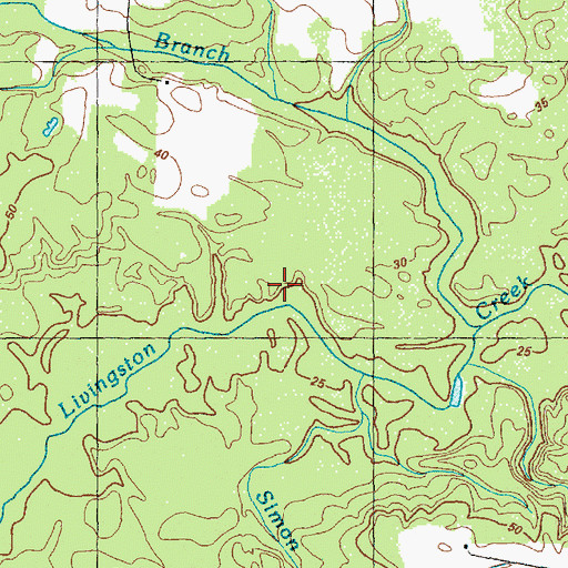 Topographic Map of Simon Branch, NC