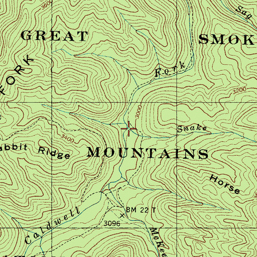 Topographic Map of Snake Branch, NC