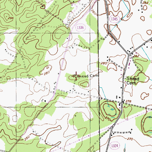 Topographic Map of Snead Cemetery, NC