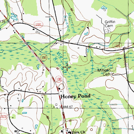 Topographic Map of South Prong Wet Ash Swamp, NC
