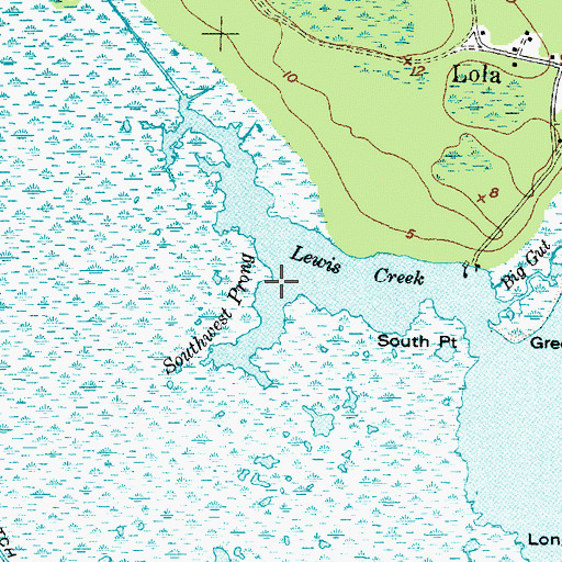 Topographic Map of Southwest Prong, NC