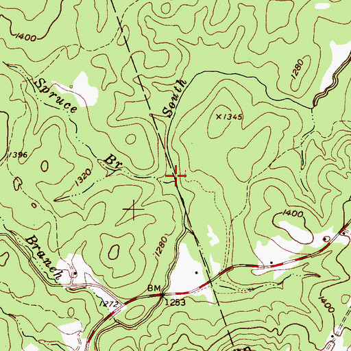 Topographic Map of Spruce Branch, NC
