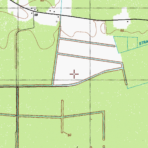 Topographic Map of Strauss Swamp, NC