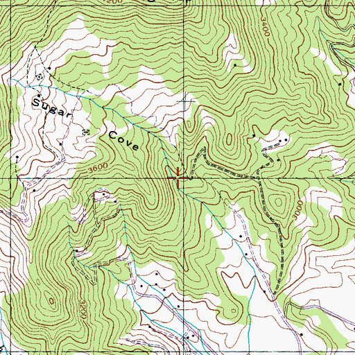 Topographic Map of Sugar Cove, NC
