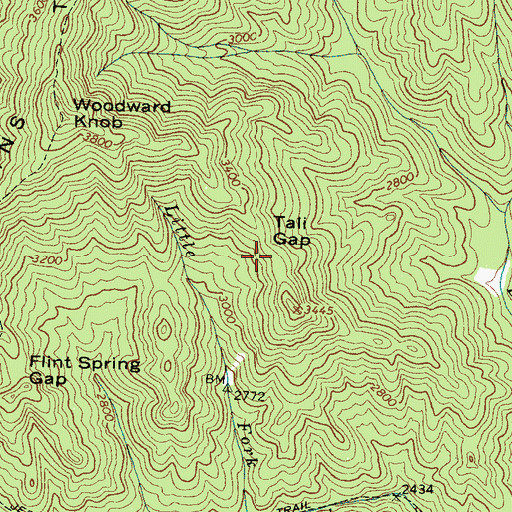 Topographic Map of Tali Gap, NC