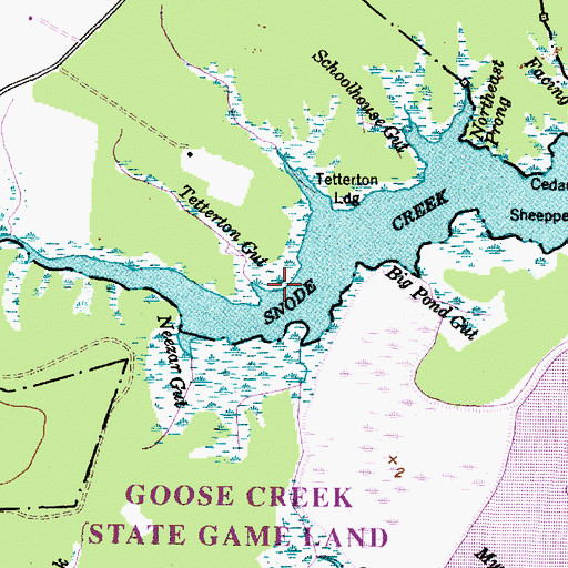 Topographic Map of Tetterton Gut, NC