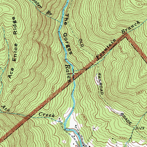 Topographic Map of The Gorges, NC