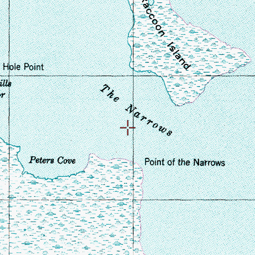 Topographic Map of The Narrows, NC
