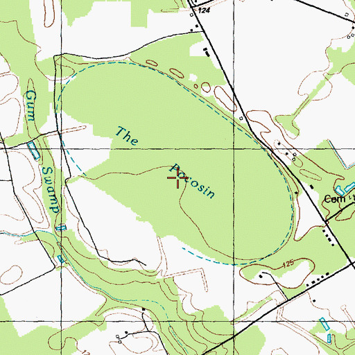 Topographic Map of The Pocosin, NC