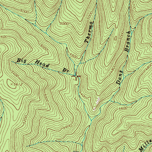 Topographic Map of Thermo Branch, NC
