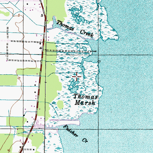 Topographic Map of Thomas Marsh, NC