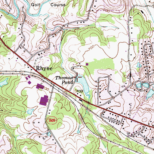 Topographic Map of Thomas Pond, NC