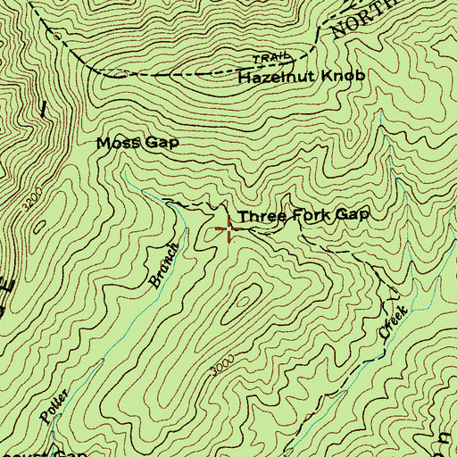 Topographic Map of Three Fork Gap, NC