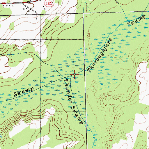 Topographic Map of Thunder Swamp, NC