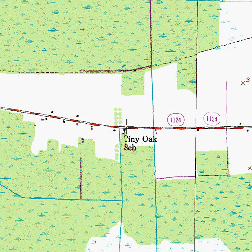Topographic Map of Tiny Oak School, NC