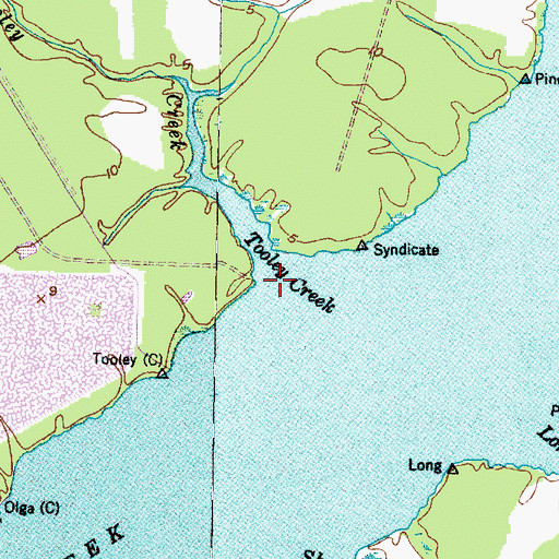 Topographic Map of Tooley Creek, NC