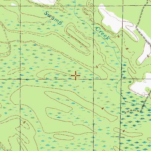 Topographic Map of Town Swamp, NC