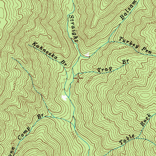 Topographic Map of Trap Branch, NC