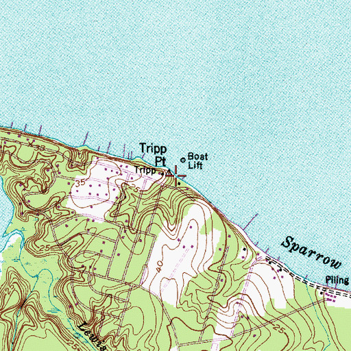 Topographic Map of Tripp Point, NC