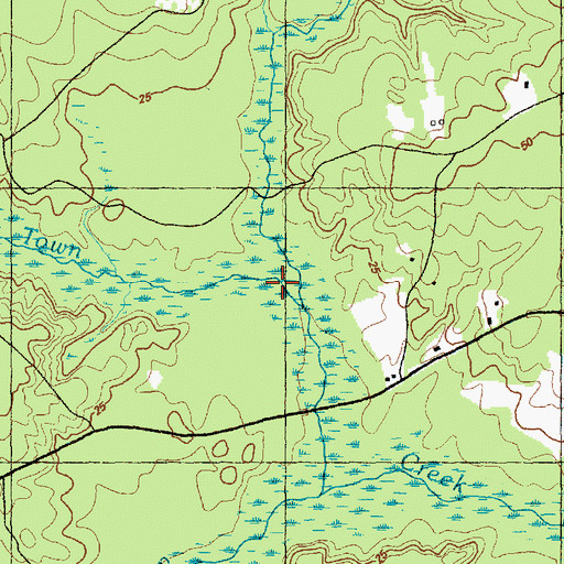 Topographic Map of Turkey Branch, NC