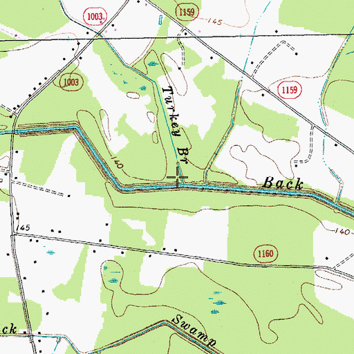 Topographic Map of Turkey Branch, NC