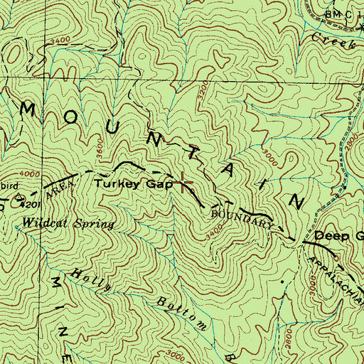 Topographic Map of Turkey Gap, NC