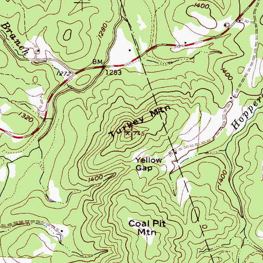 Topographic Map of Turkey Mountain, NC