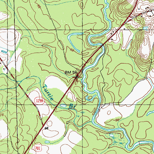 Topographic Map of Turtle Branch, NC